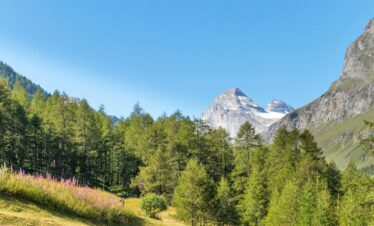 Trekking in Aosta Granta Parey Val di Rhemes