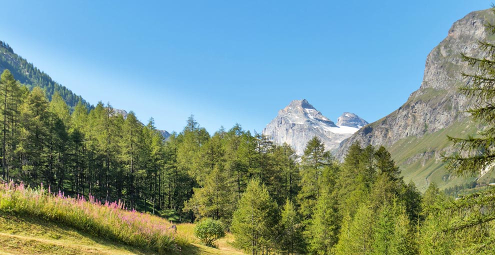 Trekking in Aosta Granta Parey Val di Rhemes