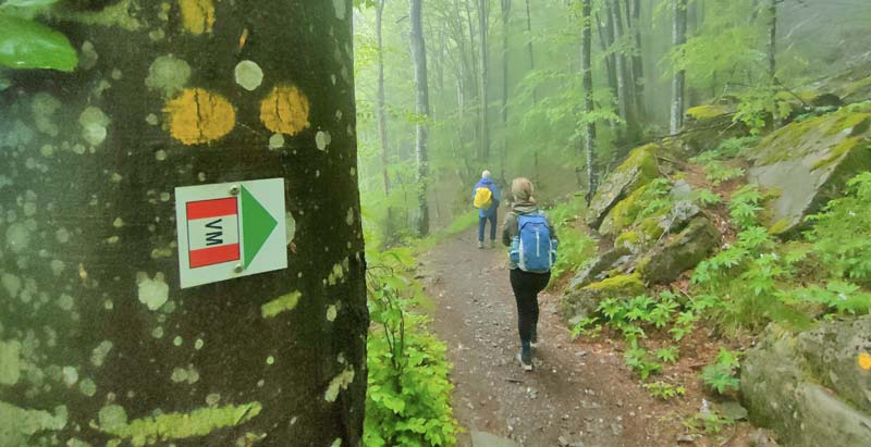 Salt route trail and beech forest